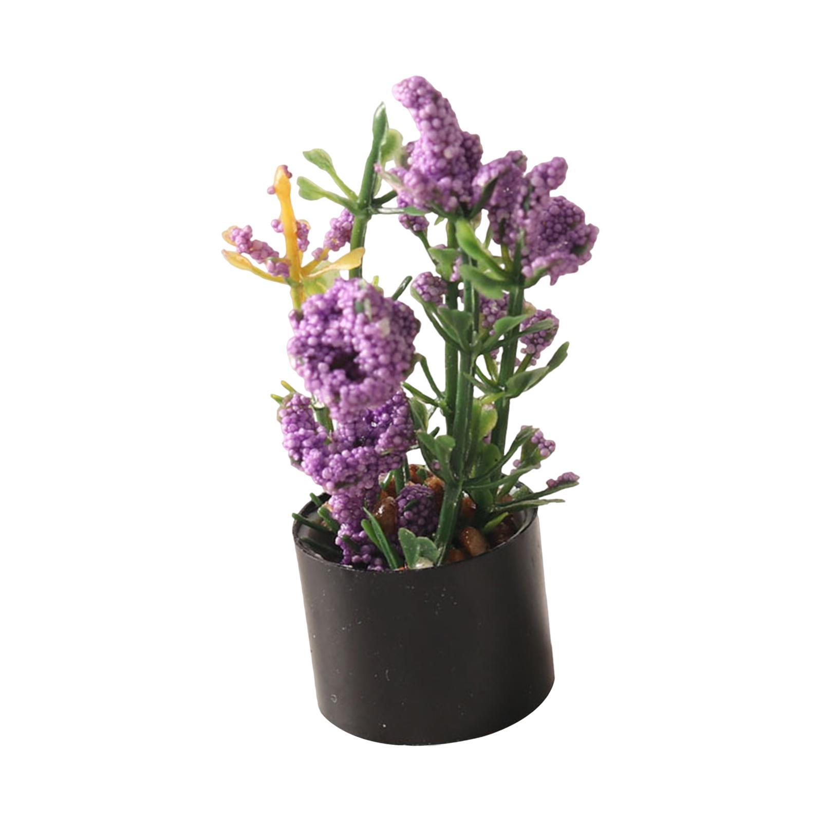 1/12 Miniature Flower Bonsai O - Bonsai Garden Photos review and price