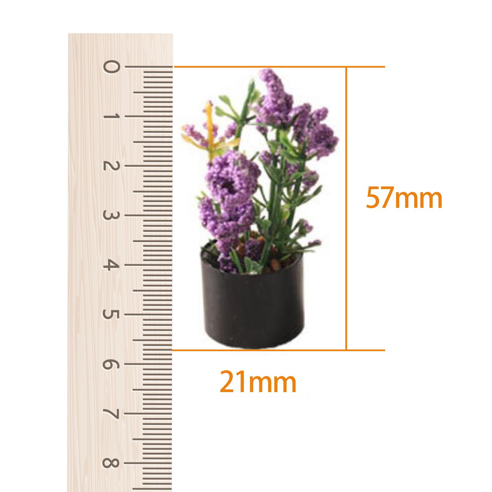 1/12 Miniature Flower Bonsai O - Bonsai Garden Photos review and price