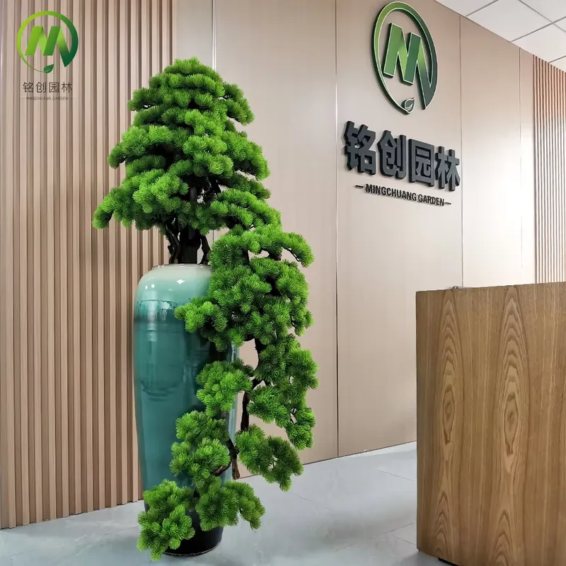 Decorative Evergreen Welcome P - Bonsai Tree Miniature Zen Garden review and price