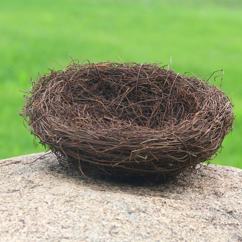 2Pcs Handmade Woven Rattan Bir - Bonsai Garden Photos review and price