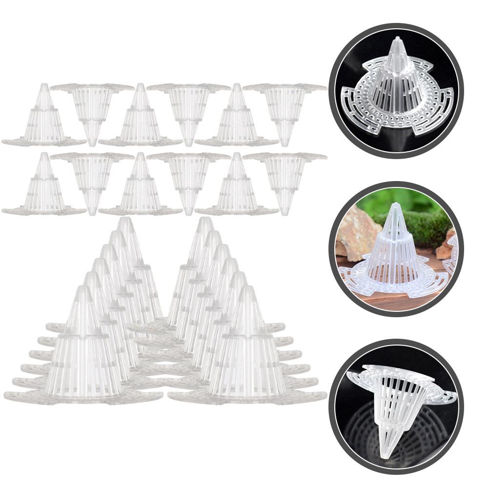 24Pcs High-Durability PP Cone  - Bonsai Garden Cafe review and price