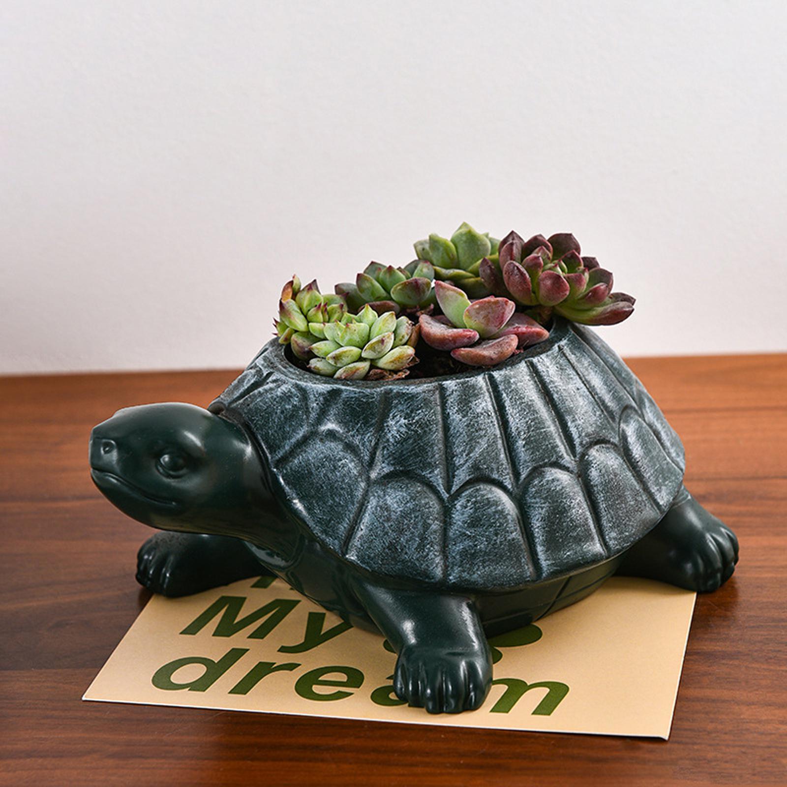 Turtle Planter Flower Pot Coll - Bonsai Garden Cafe review and price