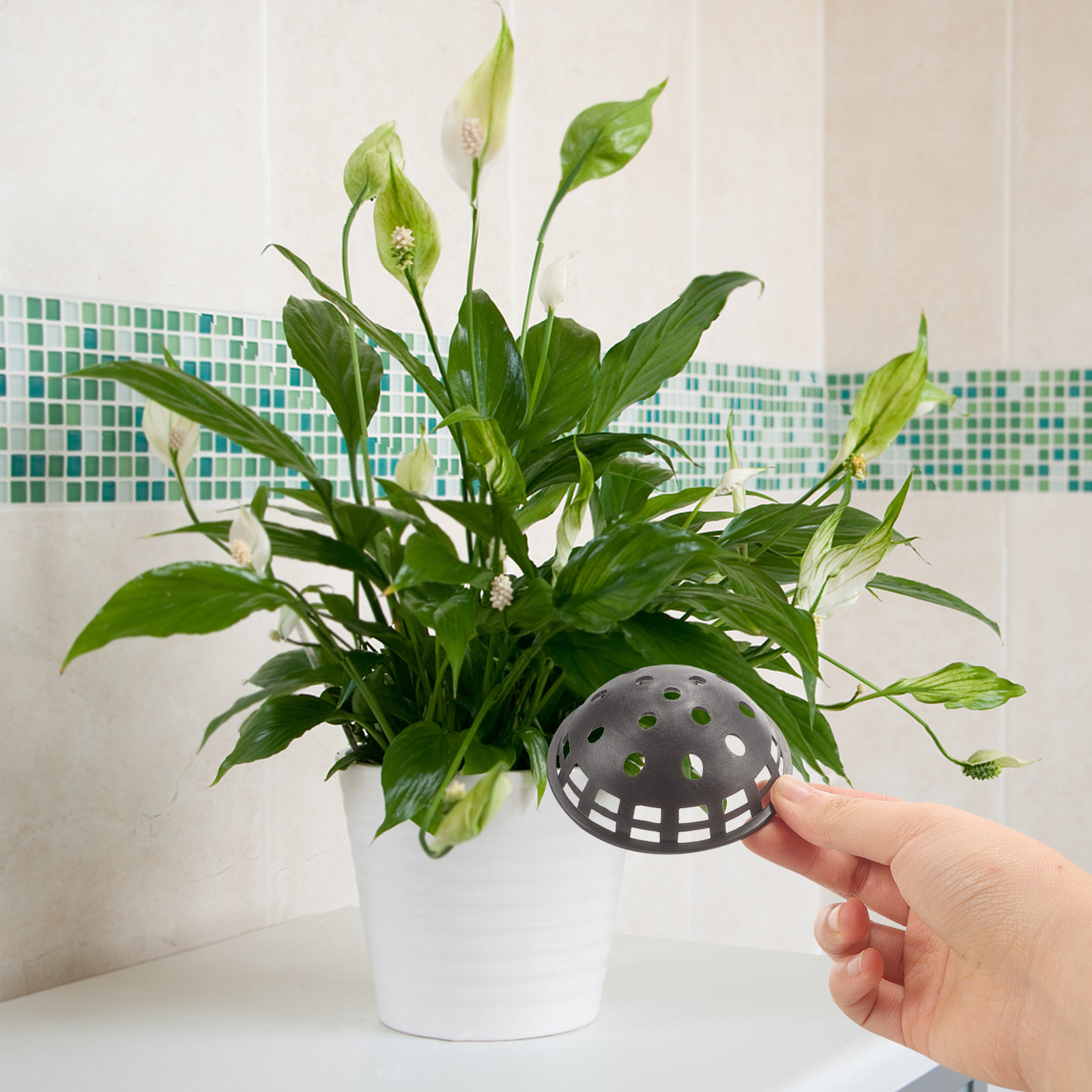 10Pcs Flower Pot Hole Mesh Pad - Bonsai Garden Cafe review and price