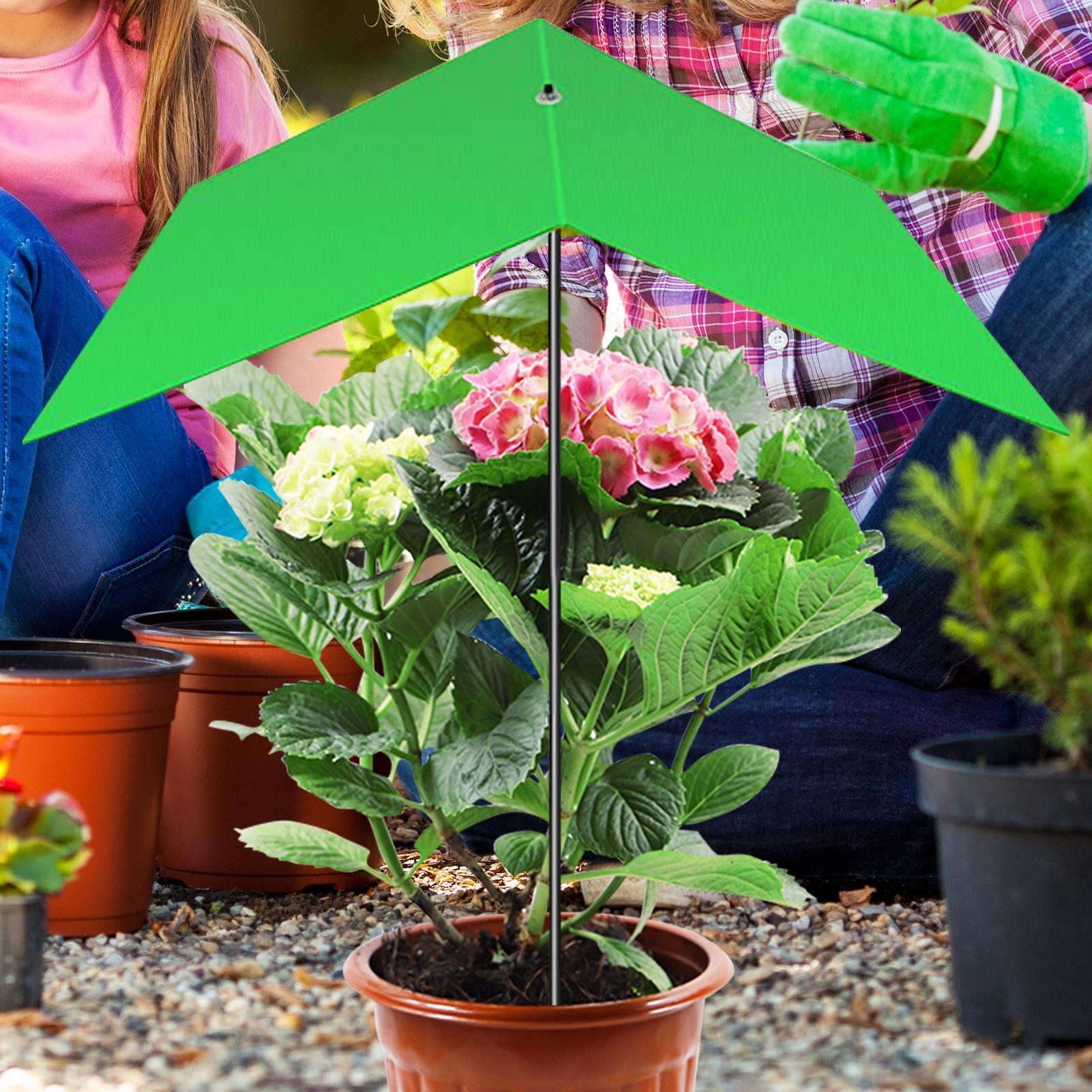 Plant Umbrella Anti-UV Heat Re - Bonsai Garden Cafe review and price