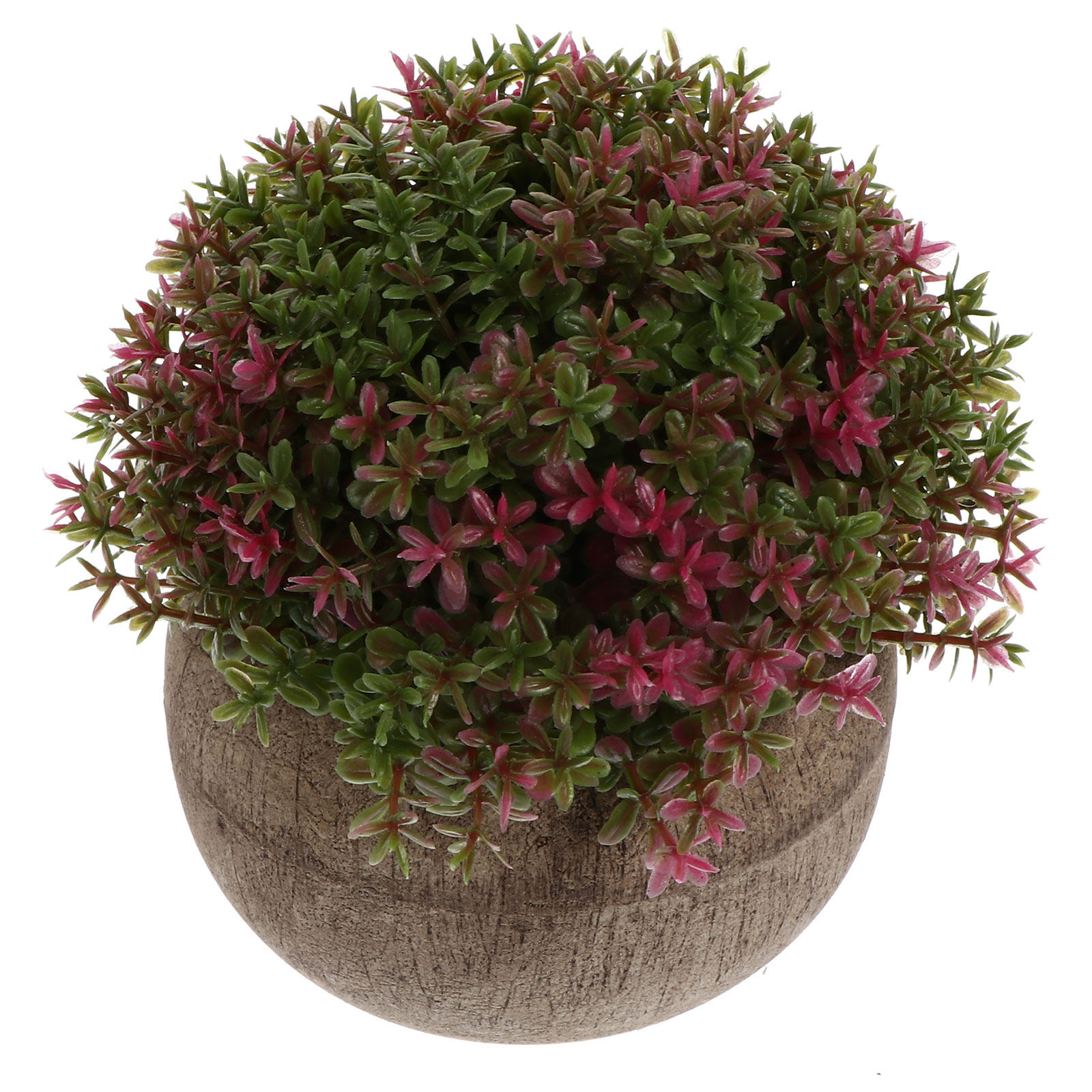 Mini Plastic Bonsai Realistic  - Bonsai Garden Cafe review and price