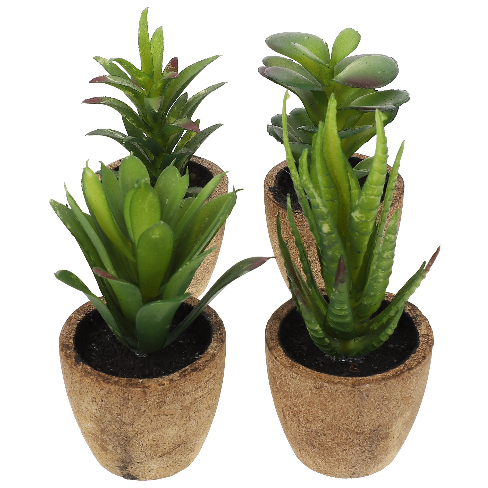 4Pcs Simulation Succulent Bons - Bonsai Garden Cafe review and price